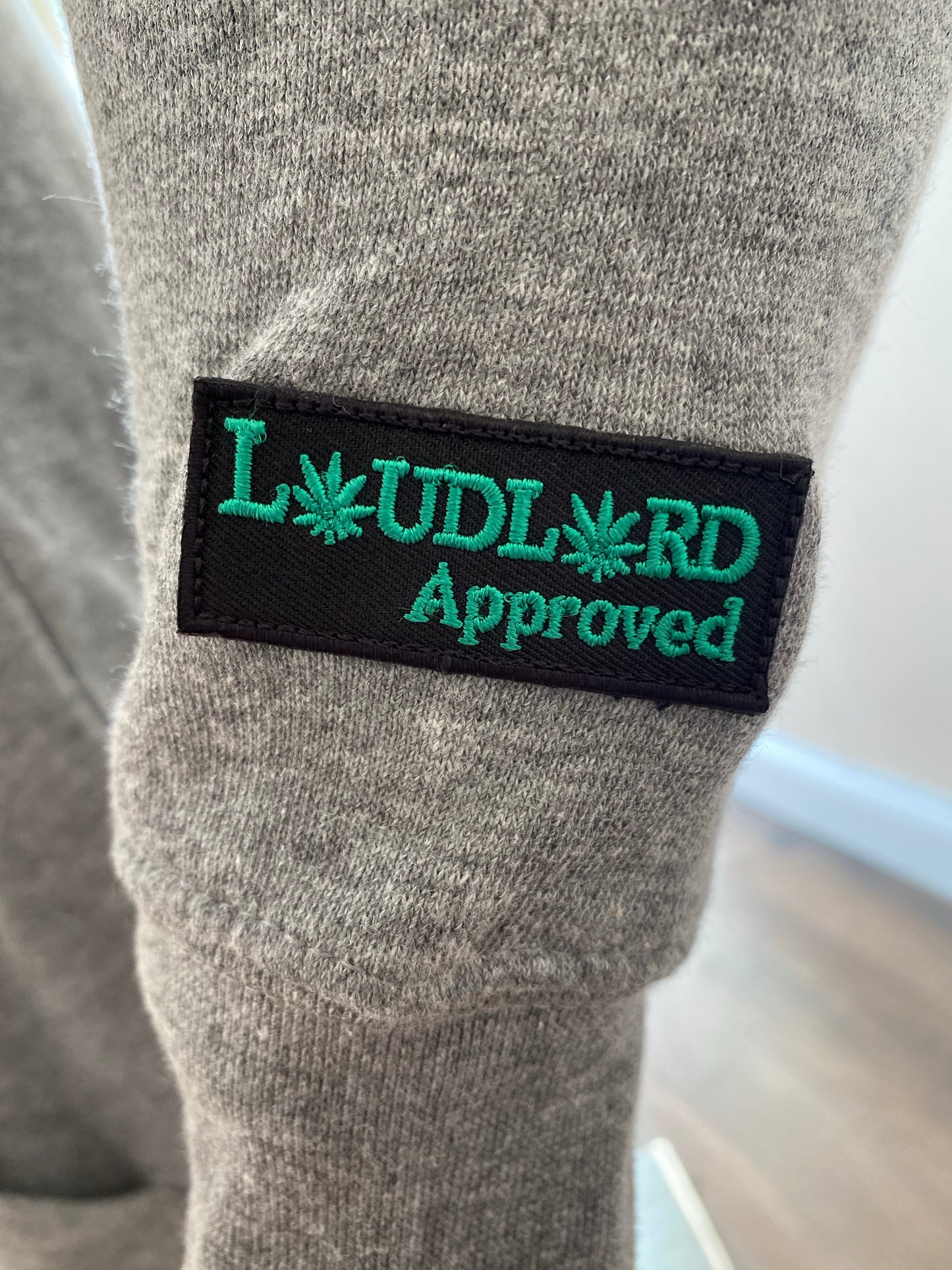 Loud Alien Apparel Logo Hoodie